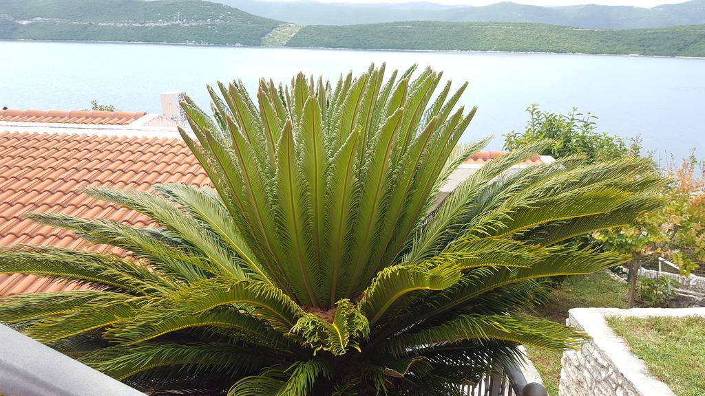 Apartments Cytrus Neum Dış mekan fotoğraf